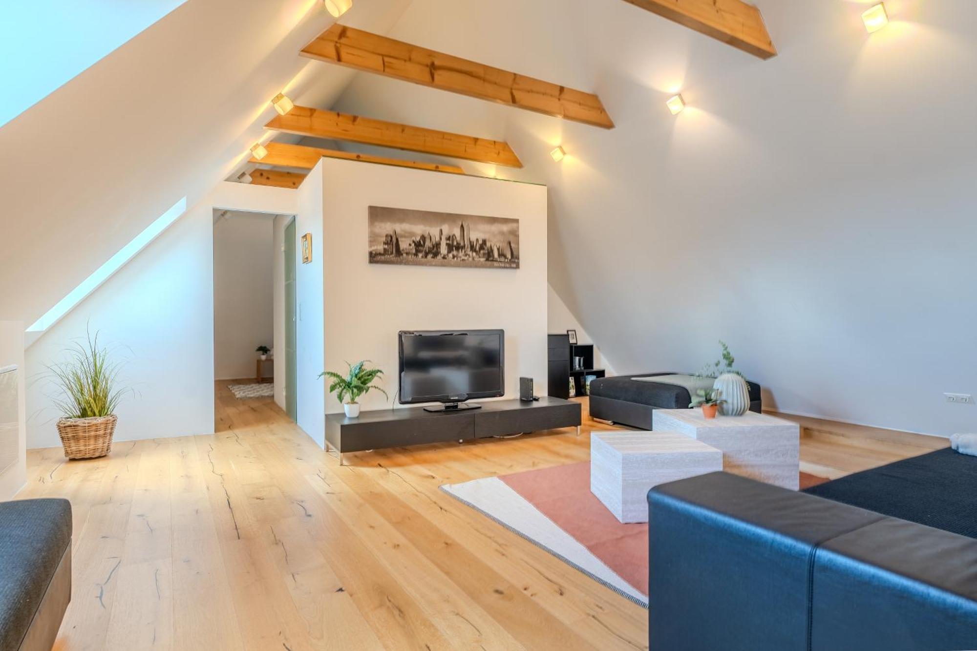 Loft Dachsberg Apartment